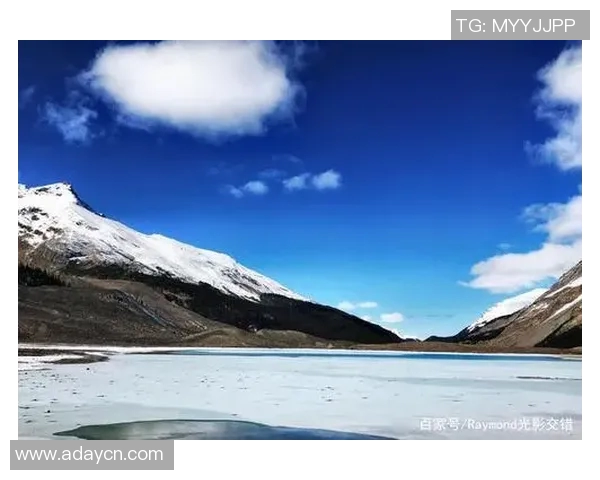 向鱼而行的心灵旅程探索人与自然的和谐共生之道 向鱼而行的心灵旅程探索人与自然的和谐共生之道
