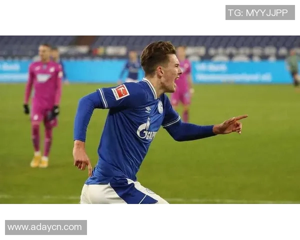 沙尔克04豪取榜首,德甲震撼力争冠军! 沙尔克04豪取榜首,德甲震撼力争冠军!